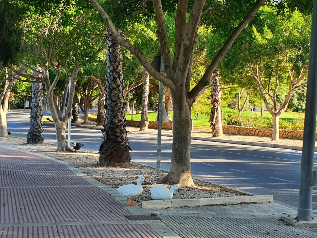 Md Cheap'N Chic Alicante Mutxamel  Exterior foto